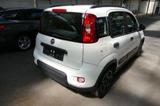 Fiat Panda City Life*Klima*PDC*SITZHEIZUNG*8 FACH BRE - gebrauchte Fiat Panda aus dem Jahr 2021
