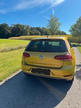 Volkswagen Golf 1.4 TSI 92kW Sound Variant Sound - mit Benzin-Antrieb: Gold, Kombi