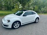 Volkswagen VW New Beetle - Volkswagen New Beetle: Sportwagen