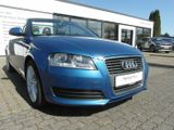 Audi A3 A3 Cabriolet 1.9 TDI DPF - Audi: 1.9
