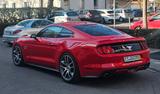 Ford Mustang 5.0 V8 GT  - Ford Mustang Gebrauchtwagen in Stuttgart