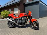 Triumph Speed Triple 900 T300 - TRIUMPH T300