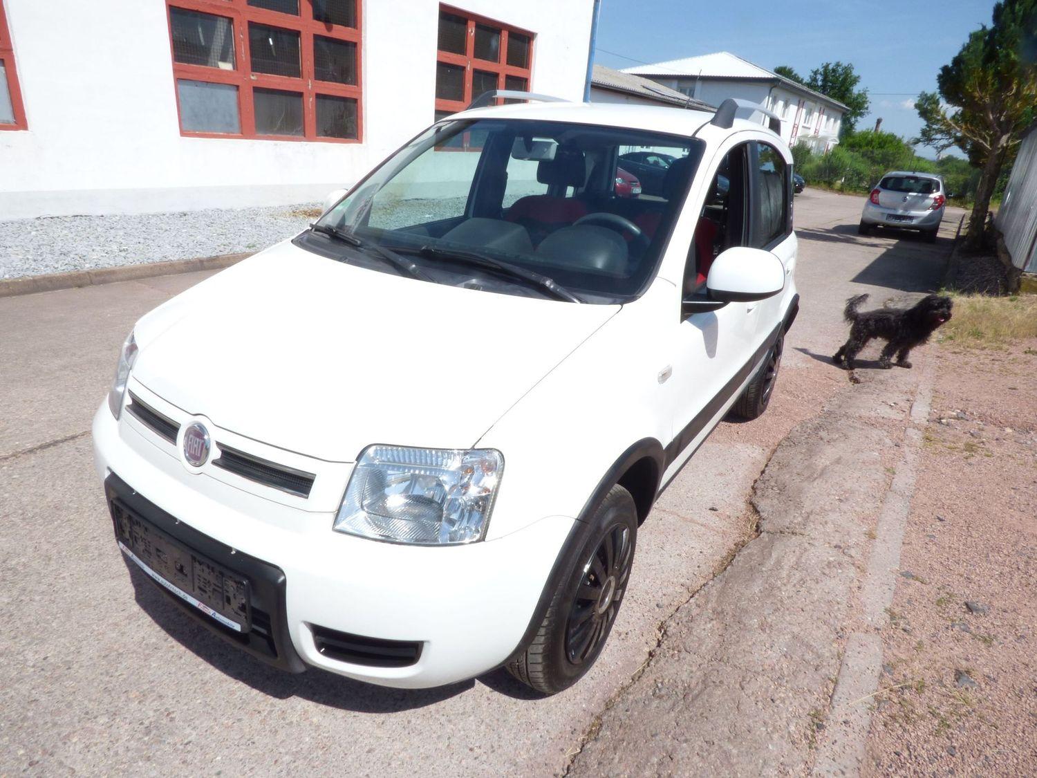 Fiat Panda 1.2 8V Climbing 4X4, sehr gepflegt