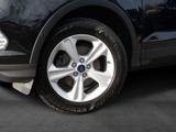 Ford Kuga 1.5 Titanium 4x2 Xeneon | LRHZG | NAVI - Ford Kuga: 2.5