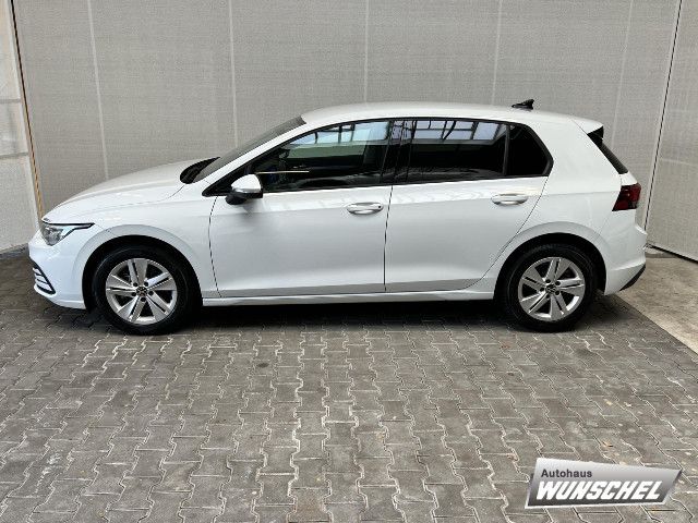 Volkswagen Golf VIII 1.5 TSI Life Navi LED+ Kamera 5Jr.Gar. imagem 3