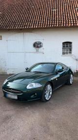 Jaguar XK 4.2ltr - Jaguar XK: Jag