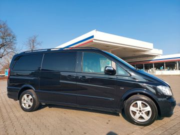 Mercedes Viano - 11