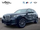 BMW X5 xDrive40i M Sportpaket HK HiFi DAB LED Shz - BMW X5: Xdrive40d