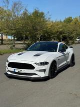 Ford Mustang GT 5.0 Fastback 55 Years Edition - Ford Mustang: Edition