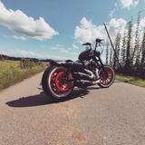 Harley-Davidson Sportster XL 883/1200 Iron - Angebote