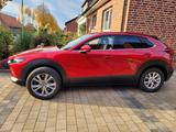 Mazda CX-30 e-SKYACTIV-G M-Hybrid 140 Takumi - Mazda CX-30