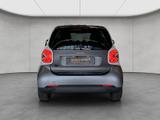 Smart fortwo coupe EQ passion/Mattlack/22kW/Exclusive - Smart Gebrauchtwagen von 2020