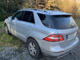 Mercedes-Benz ML 250 BlueTEC 4MATIC - - Mercedes-Benz ML 250 aus 2015