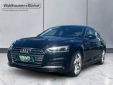 Audi A5 50 TDI Sportback quattro S-line Klima - Audi A5 in Mönchengladbach