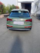 Audi Q5 40 TDI Quattro S tronic 204PS Grün Metallic - : Grün, Metallic