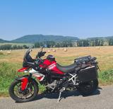 Triumph Tiger 900 GT Aragon Edition, Koffer