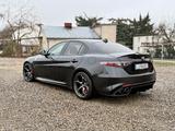 Alfa Romeo Giulia 2.9 V6 Bi-Turbo 375 kW AT8 Quadrifogl... - Alfa Romeo Giulia aus 2019