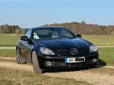 Mercedes-Benz SLK 200 KOMPRESSOR 2LOOK Edition  - Mercedes-Benz SLK 200 aus 2010: Kompressor