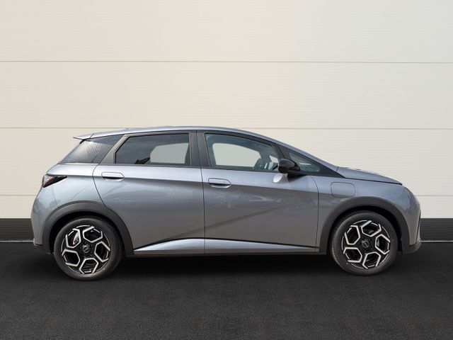 BYD Dolphin Design