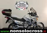 Honda HONDA Transalp 650 - ANNO 2001 - HONDA TRANSALP 650