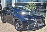 Lexus NX 450h+ E-FOUR Business - Lexus aus 2024: Nx