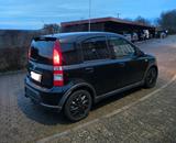 Fiat Panda 169 100 HP  BJ 2008 156 tkm Spo... - Fiat Panda Kleinwagen 100hp mit Benzin-Antrieb