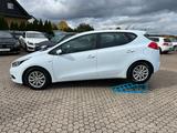 Kia cee'd / Ceed - Kia cee'd / Ceed: Kleinwagen