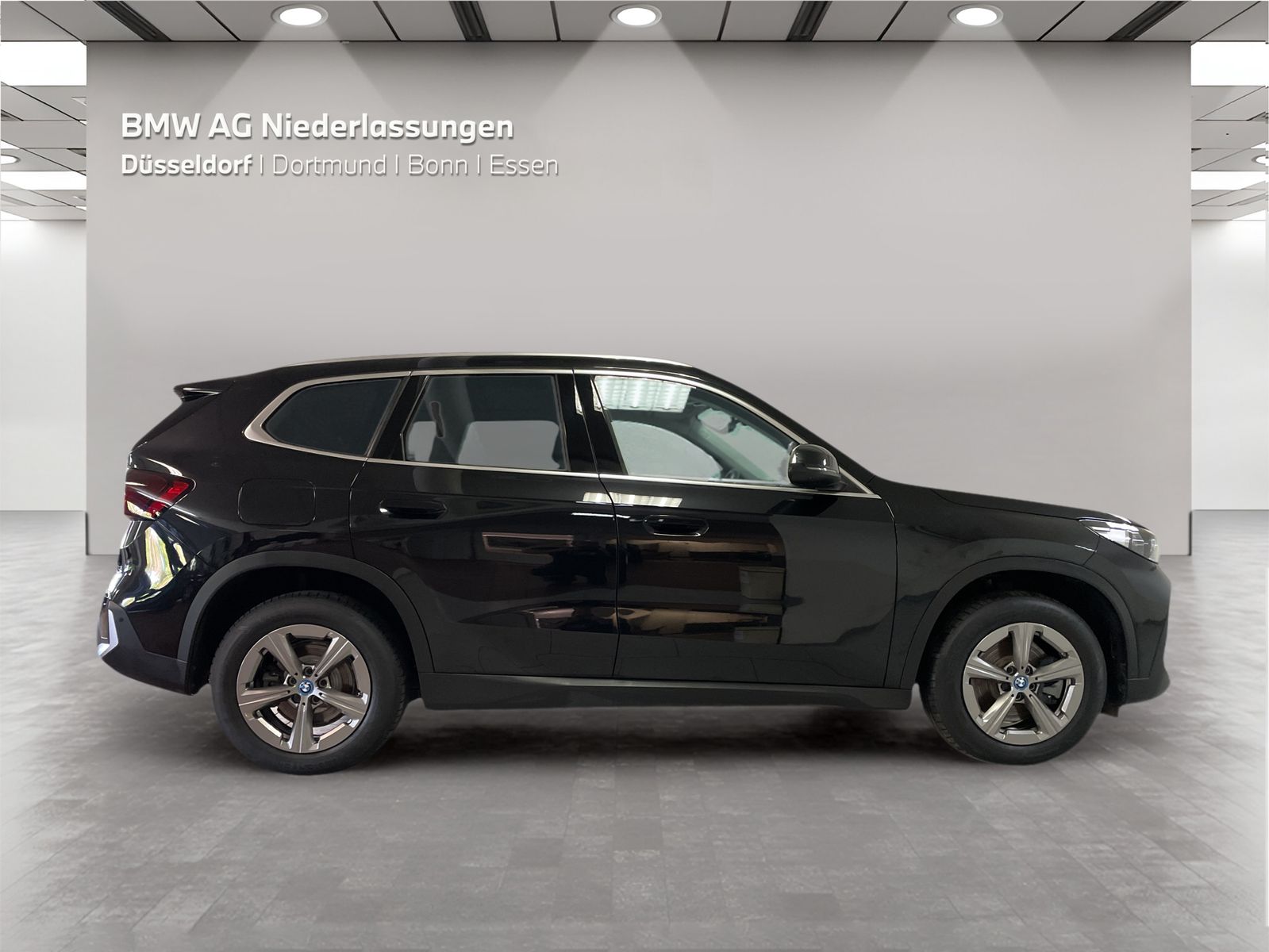 BMW X1 xDrive25e Driv.Assist Harman K Head-Up LED foto 5