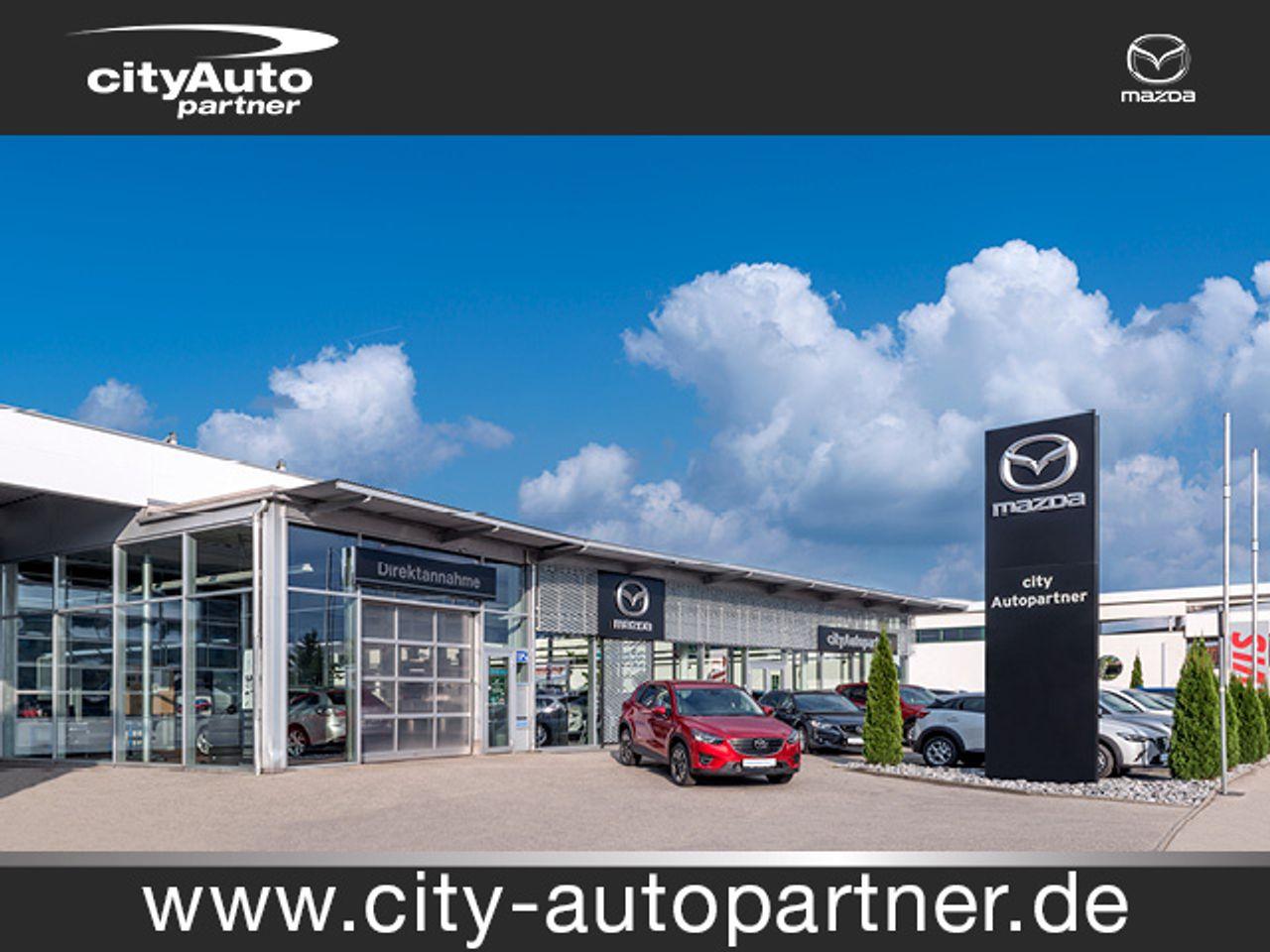 Ford Edge ST-Line 4x4 Bluetooth Navi LED Klima