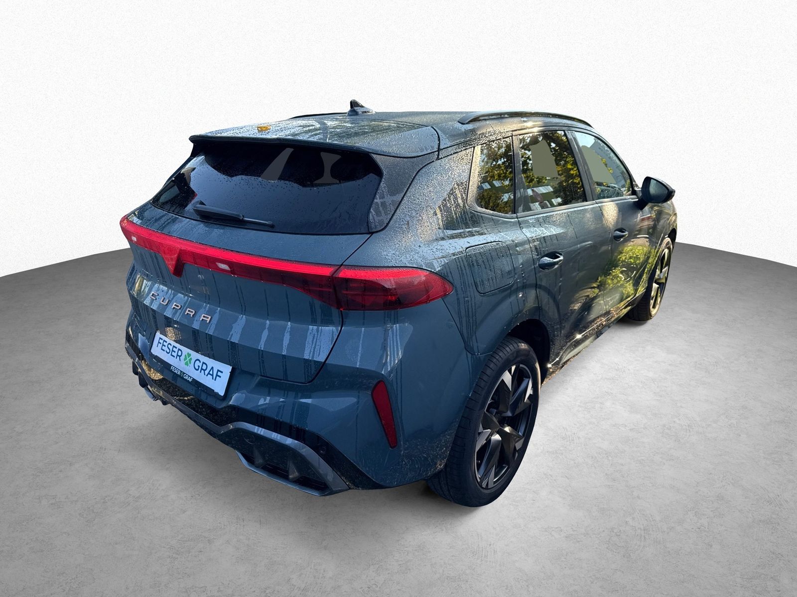 Cupra Terramar - Bild 4