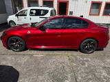 Alfa Romeo Giulia 2.9 V6 Bi-Turbo 382 kW AT8 Quadrifogl... - Alfa Romeo Giulia: Sportwagen
