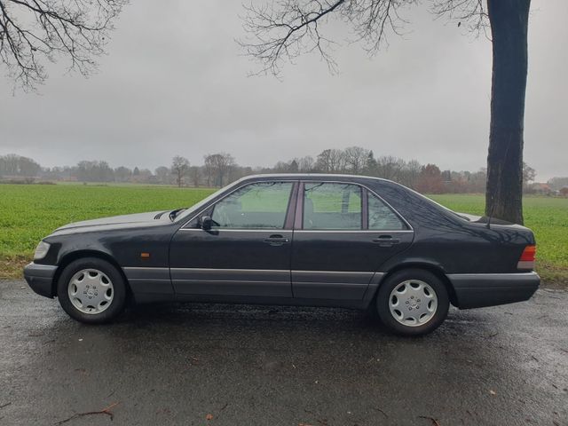 Mercedes-Benz S 280 W140 - 1. Hand - sehr gute Ausstattung