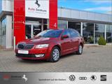 Skoda Octavia 1.0 TSI Green tec Joy AHK BOLERO-Sound - Skoda Octavia mit Benzin-Antrieb: Joy
