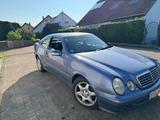 Mercedes-Benz CLK 230 KOMPRESSOR ELEGANCE, Liebhaber - Mercedes-Benz CLK 230 Gebrauchtwagen