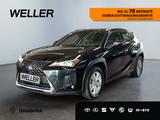 Lexus UX 250h Business Edition *Navi*ACC*Kamera*CarPla - Lexus UX Gebrauchtwagen