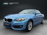 BMW 220i Cabrio Advantage | Leder | ECC - blaue BMW 220