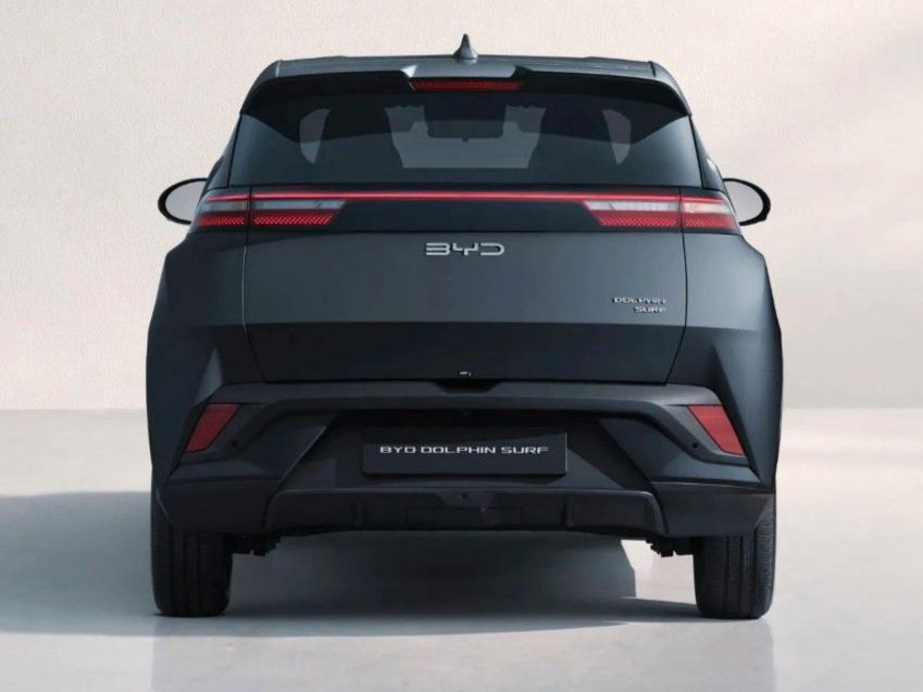 BYD DOLPHIN SURF