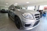 Mercedes-Benz GL 350 BlueTec 4Matic - Mercedes-Benz GL 350: Bluetec