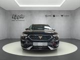 Cupra Ateca VZ Tribe Edition 2.0 TSI 221 kW (300 PS) 7 - Cupra Ateca Gebrauchtwagen