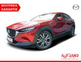 Mazda CX-30 2.0 M-Hybrid 2WD LED Head-Up ACC Totwinkel - Mazda CX-30 in Duisburg