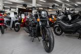 UM Renegade Freedom 125, sofort lieferbar - Offers matching your search criteria