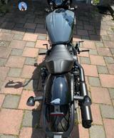 Indian Scout Rogue  - INDIAN SCOUT ROGUE