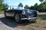 Austin Healey Andere - gebrauchte Austin Healey Roadster