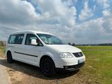 Volkswagen VW Caddy Maxi, 7- Sitze, ideal als Camper ... - : Kombi, Camper