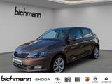 Skoda Fabia Clever Nav Apps Pano AHK Licht/Sicht SHZ - Skoda Fabia: Clever
