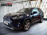 Toyota RAV4 Hybrid 4x4 Lounge - Toyota RAV 4: Lounge