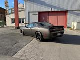 Dodge Challenger Hellcat Redeye  - Dodge Challenger in Wuppertal