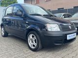 Fiat Panda 1.2 8V Natural Power Panda*City SERVO* - Fiat Panda mit CNG-Antrieb