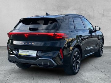 Cupra Terramar - 5