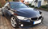 BMW 420 Autom AHK Navi Schiebedach Xenon SHZ Leder